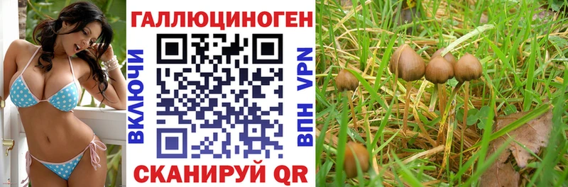 Галлюциногенные грибы ЛСД Темников